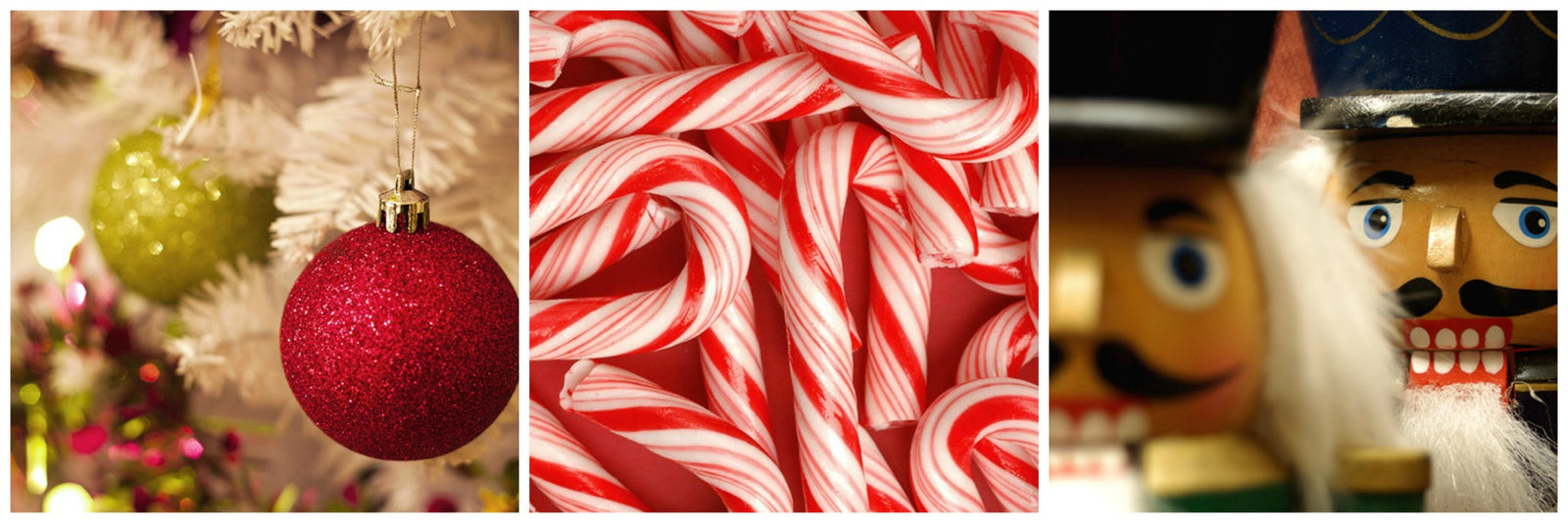 5 Last-Minute Holiday Gifts from Alpaca Direct