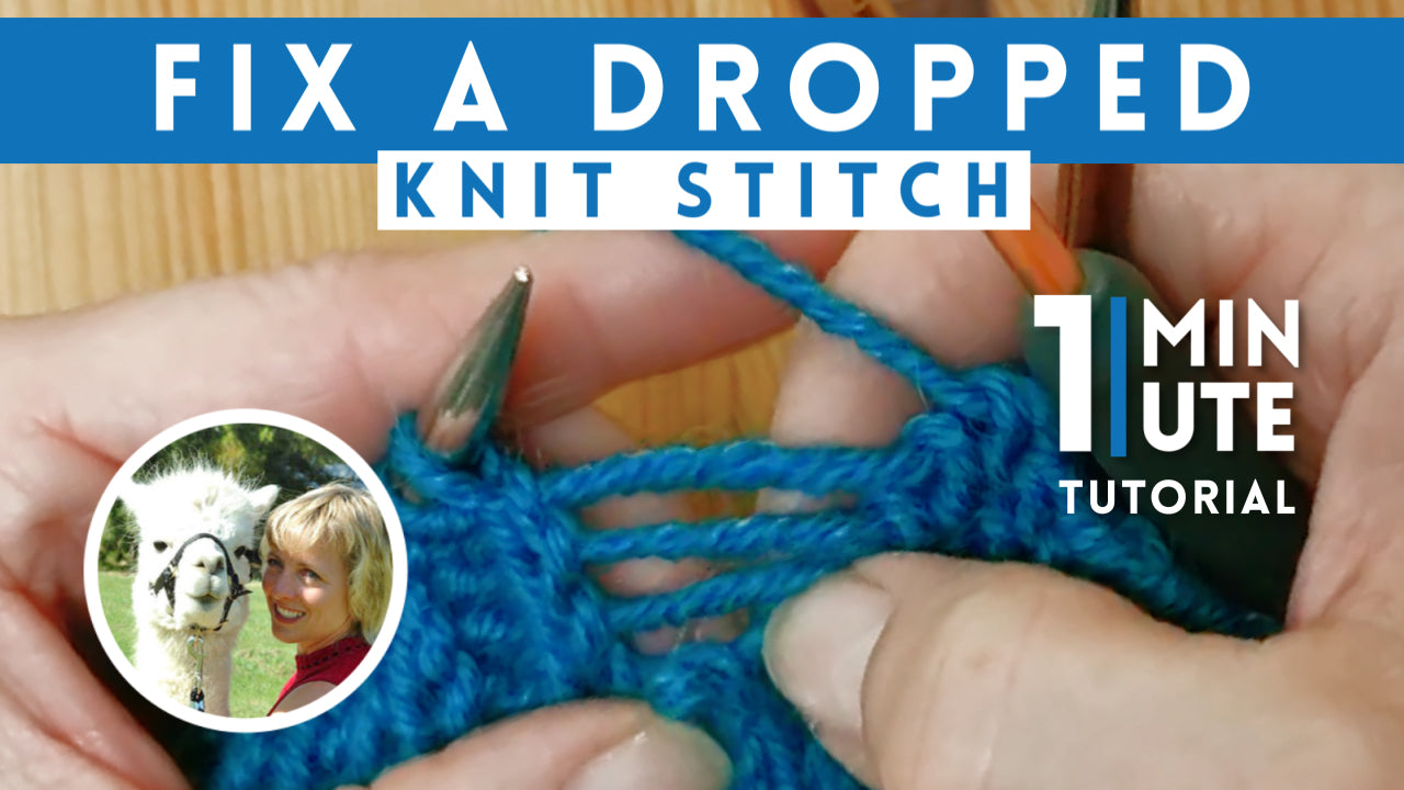 How To Fix a Dropped Stitch