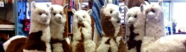 Toy alpacas make a unique gift!