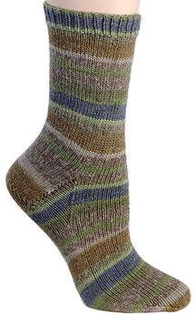 Berroco Comfort Sock Yarn-Yarn-Berroco-1810 Invercargill-Alpaca Direct