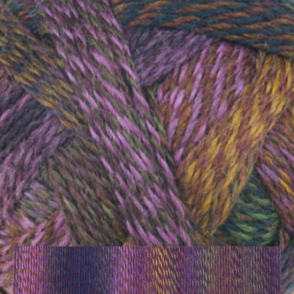 Schoppel-Wolle Zauberball Starke 6-Yarn-Schoppel-Wolle-Alpaca Direct