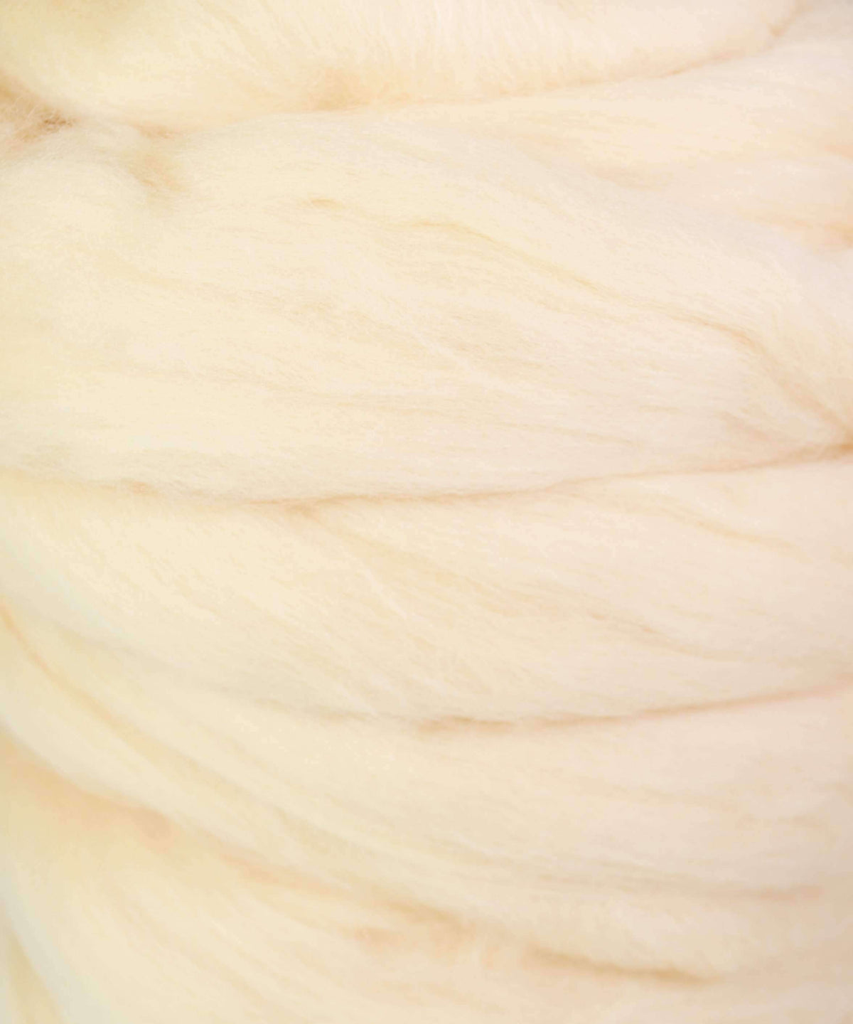 4 oz Merino Top Solids-Roving-Alpaca Direct-Vanilla-Alpaca Direct