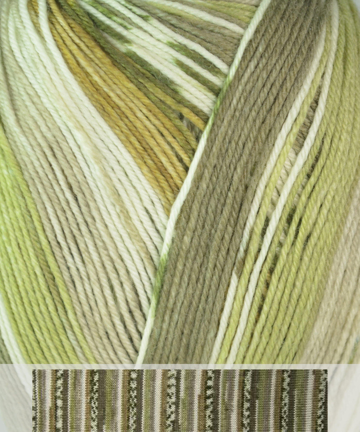 Cascade Heritage Prints Sock Yarn-Yarn-Cascade Yarns-Alpaca Direct