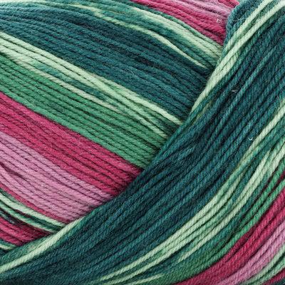 Cascade Heritage Prints Sock Yarn-Yarn-Cascade Yarns-91 Rosebush-Alpaca Direct
