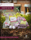 Debbie Macomber Blossom Street Collection Book 5-Books-Universal Yarns-Alpaca Direct