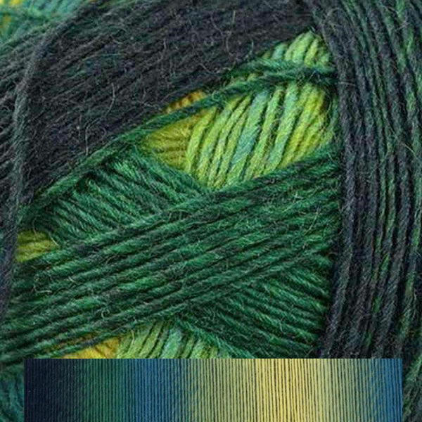 Schoppel-Wolle Zauberball-Yarn-Schoppel-Wolle-#2244 Enchanted Forest-Alpaca Direct