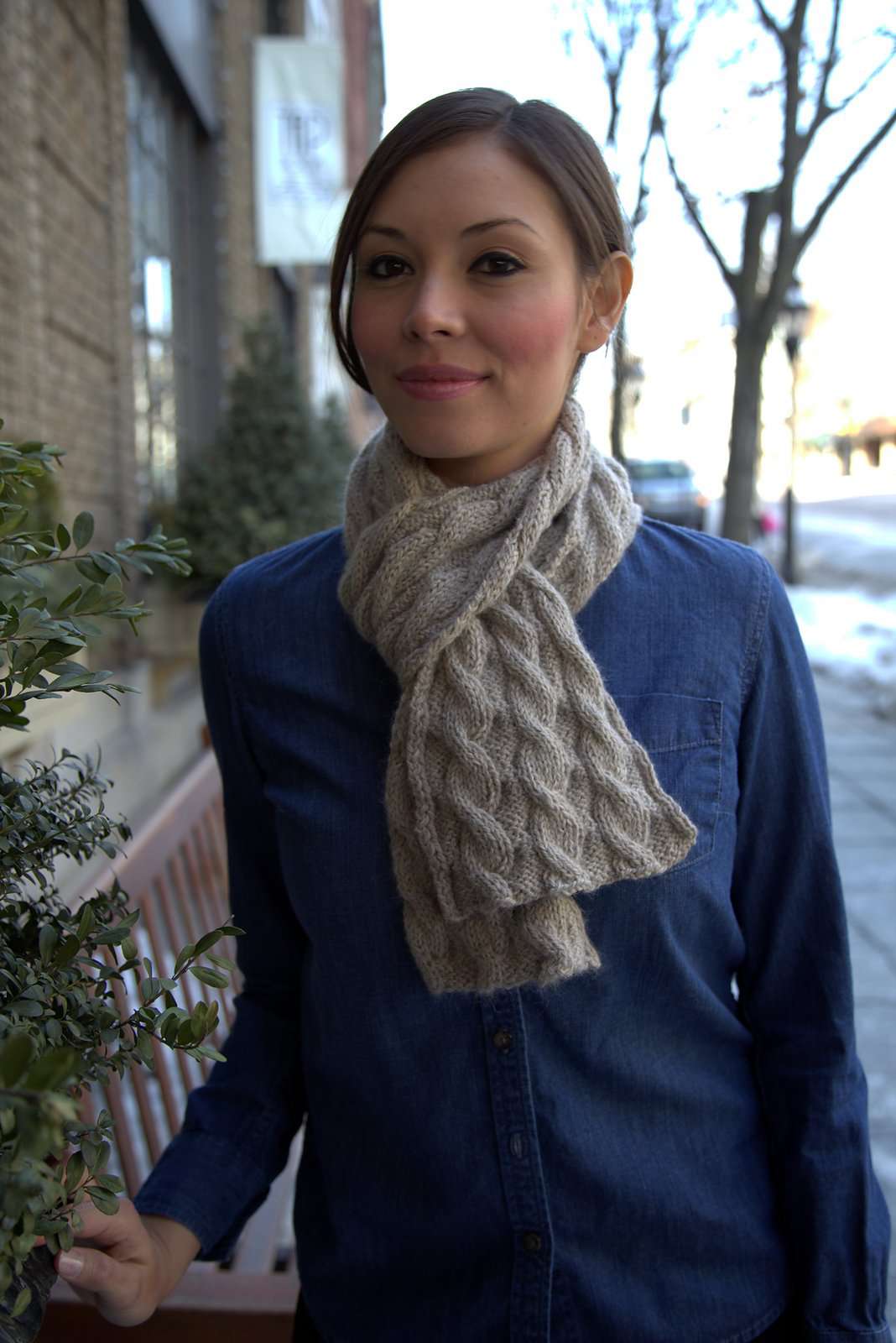 Nickel and Dime Scarf by Sue Hilger-Patterns-Plymouth Yarn-Alpaca Direct