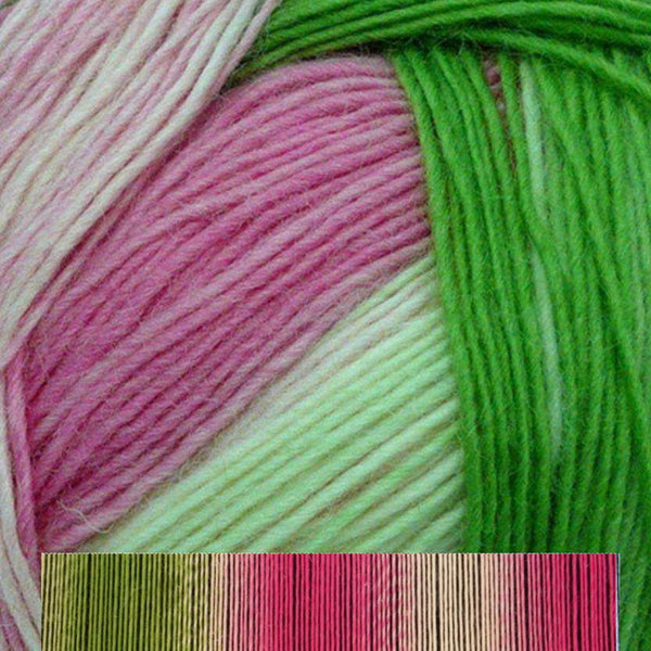 Schoppel-Wolle Zauberball-Yarn-Schoppel-Wolle-#2079 Floral Language-Alpaca Direct