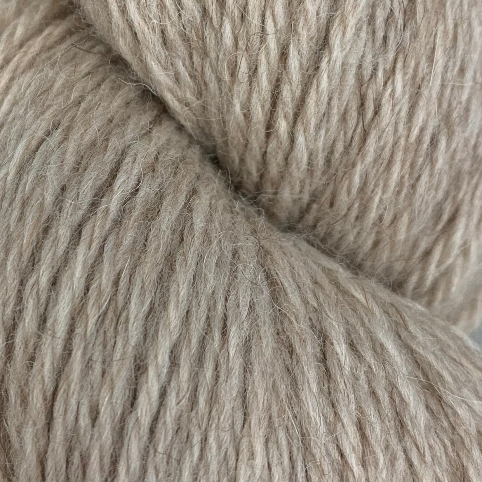 Cascade Yarns Llamerino Secondary image