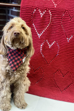 Encore Worsted Heart Throw *Free Plymouth Pattern-Patterns-Plymouth Yarn-Alpaca Direct Main image