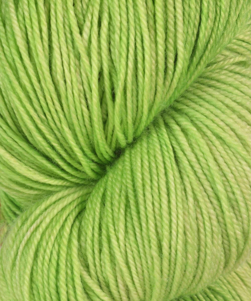 Zen Yarn Garden Serenity 20