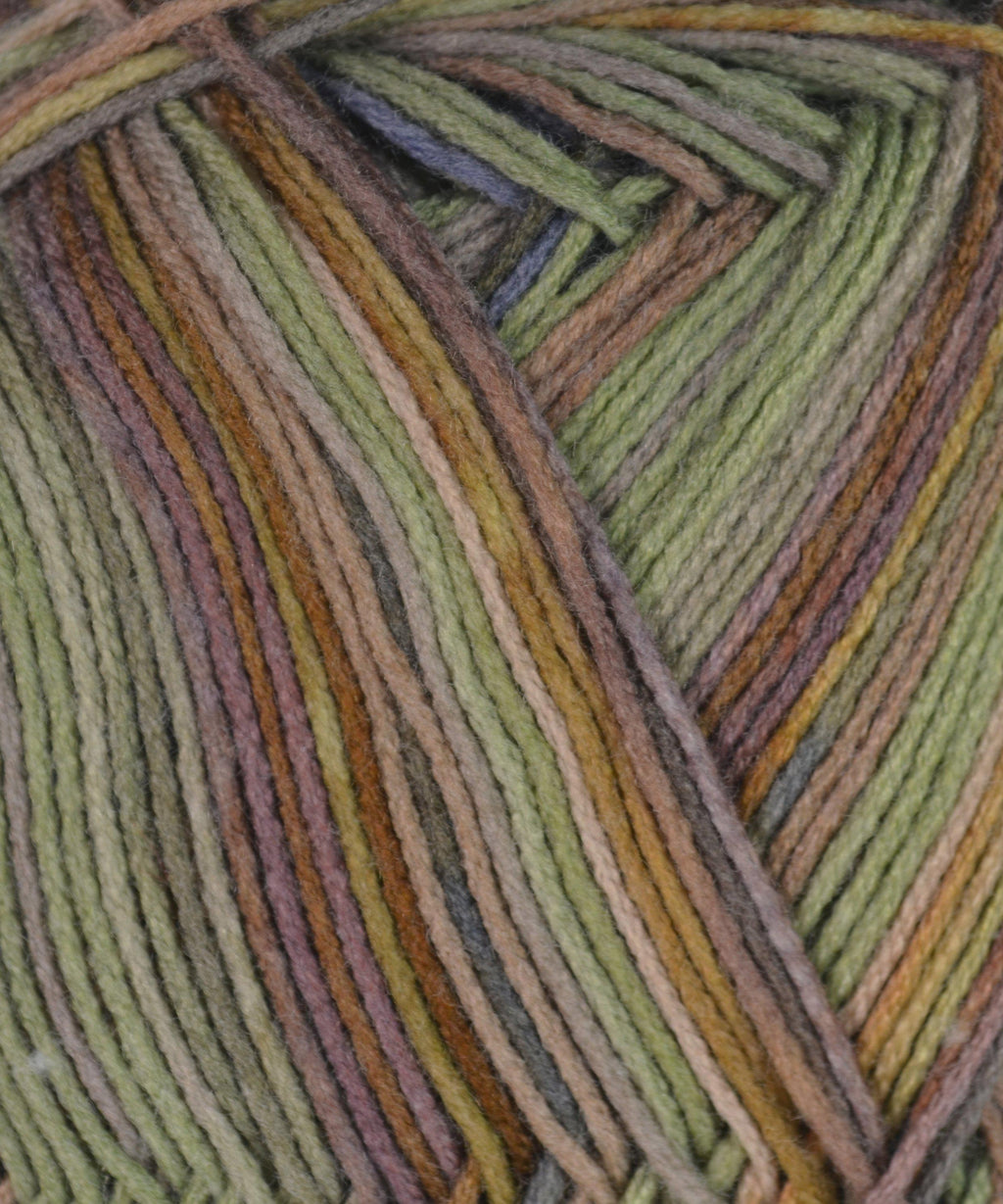 Berroco Comfort Sock Yarn-Yarn-Berroco-Alpaca Direct
