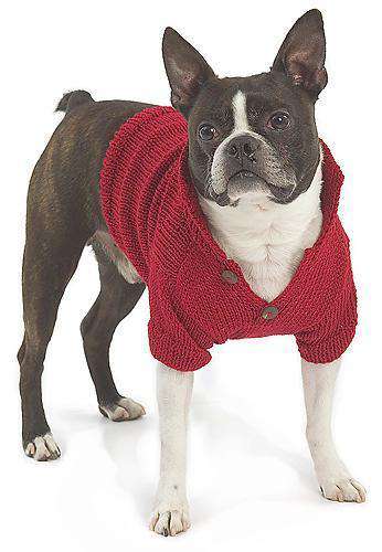 Buster Dog Sweater by Berroco - PATTERN-Patterns-Berroco-Alpaca Direct Main image