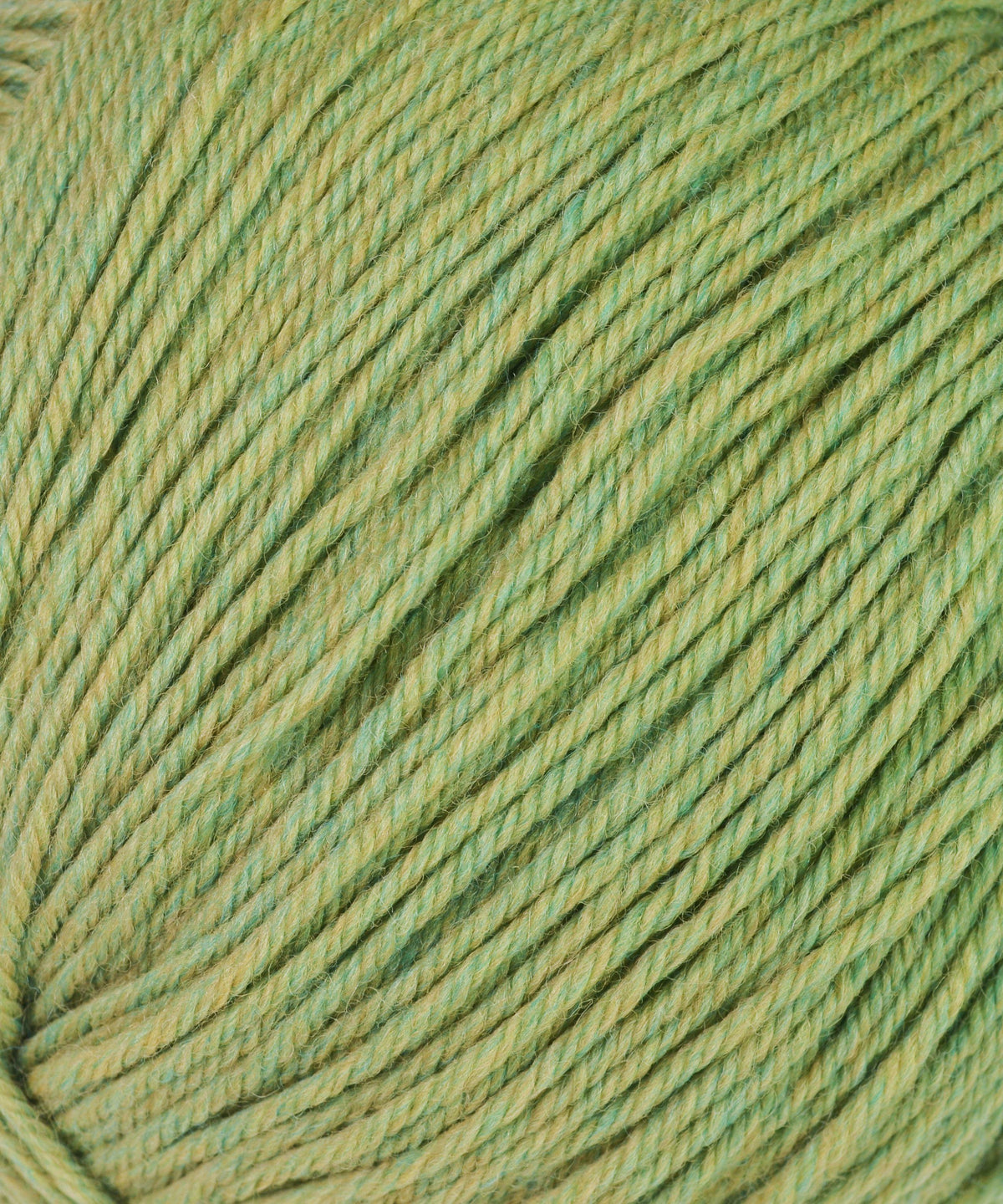 Cascade 220® Superwash Yarn-Yarn-Cascade Yarn-905 Celery-Alpaca Direct