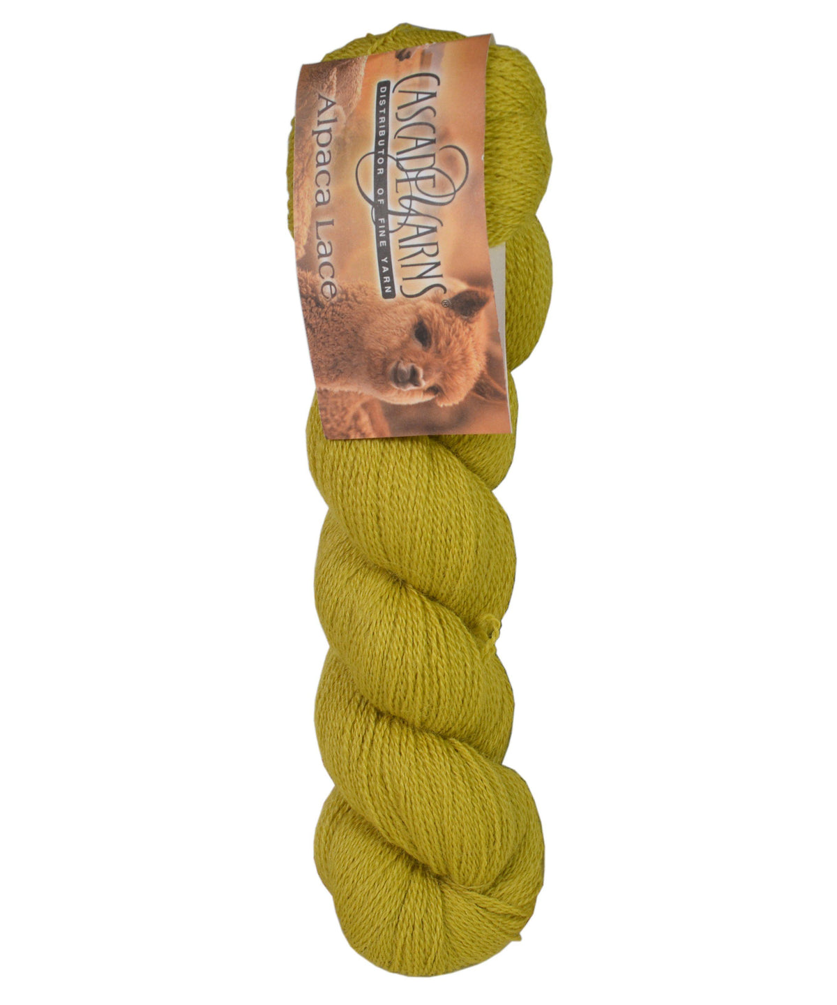 Cascade Baby Alpaca Lace-Yarn-Cascade Yarns-Alpaca Direct Main image