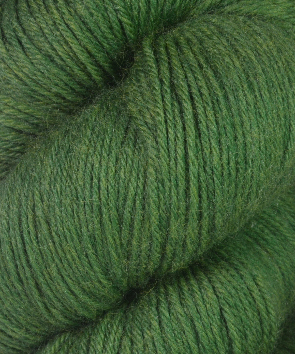 Cascade Heritage Sock Yarn-Yarn-Cascade Yarns-5612 Moss-Alpaca Direct