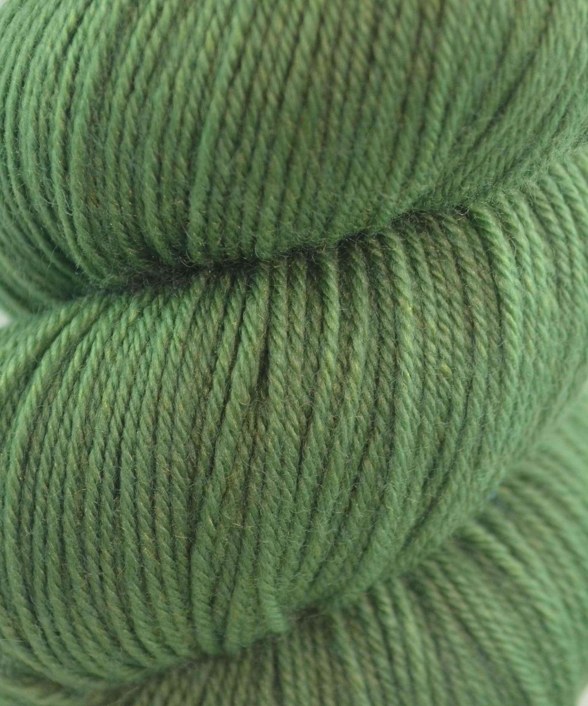 Cascade Heritage Sock Yarn-Yarn-Cascade Yarns-5635 Sage-Alpaca Direct