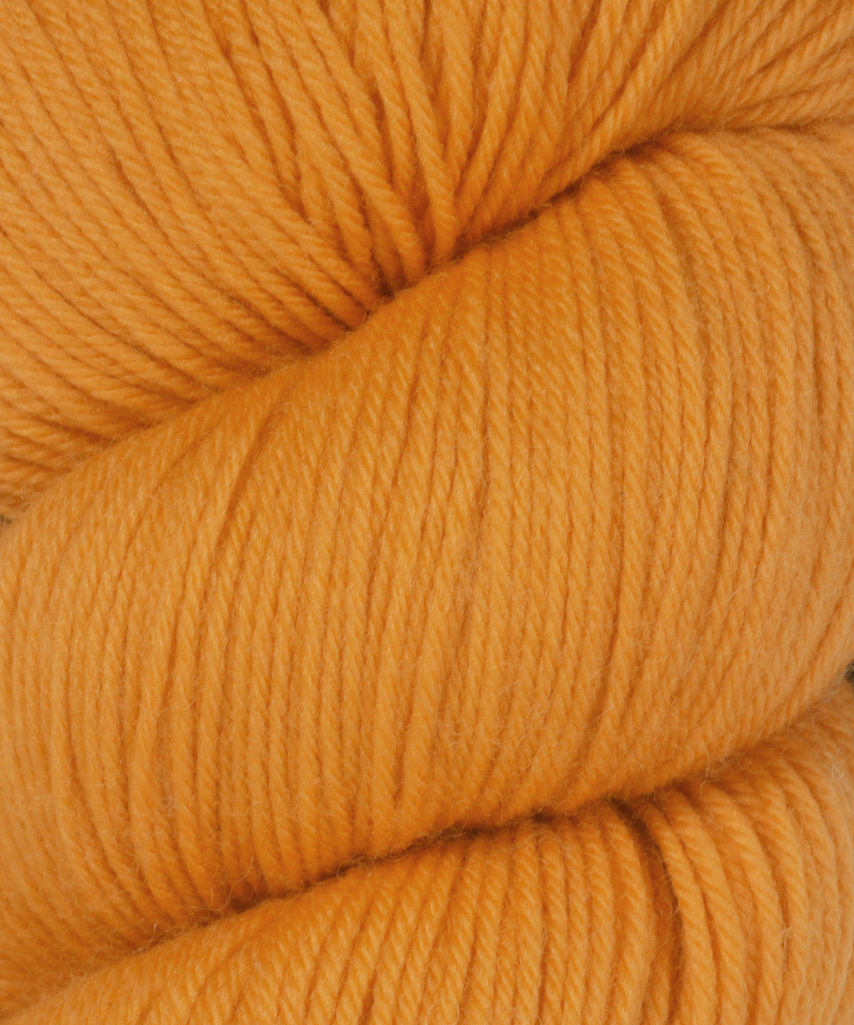 Cascade Heritage Sock Yarn-Yarn-Cascade Yarns-5641 Mango-Alpaca Direct