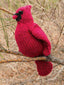 Francisco by Alison Green-Patterns-Berroco-Alpaca Direct