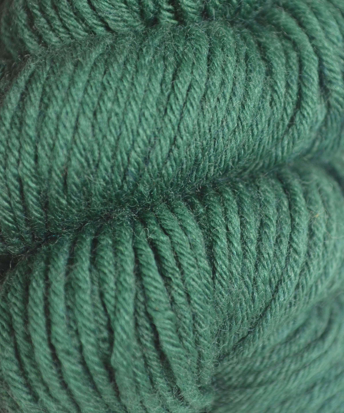 HiKoo Simplicity-Yarn-Skacel-050 Forestry-Alpaca Direct