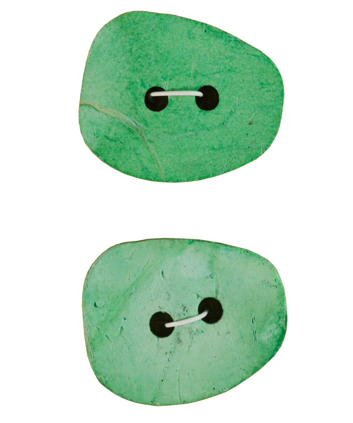 Organic Elements Turquoise Oblong 1 in (25MM) Buttons-Notions-Alpaca Direct-Alpaca Direct