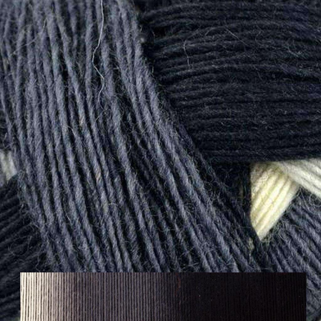 Schoppel-Wolle Zauberball-Yarn-Schoppel-Wolle-#1508 Stormy Skies-Alpaca Direct