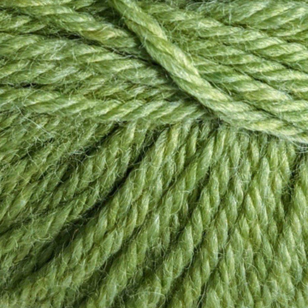 100% Superwash Merino by Coeur d&#39;Alene Yarns-Yarn-Alpaca Direct-C042 Grasshopper-Alpaca Direct