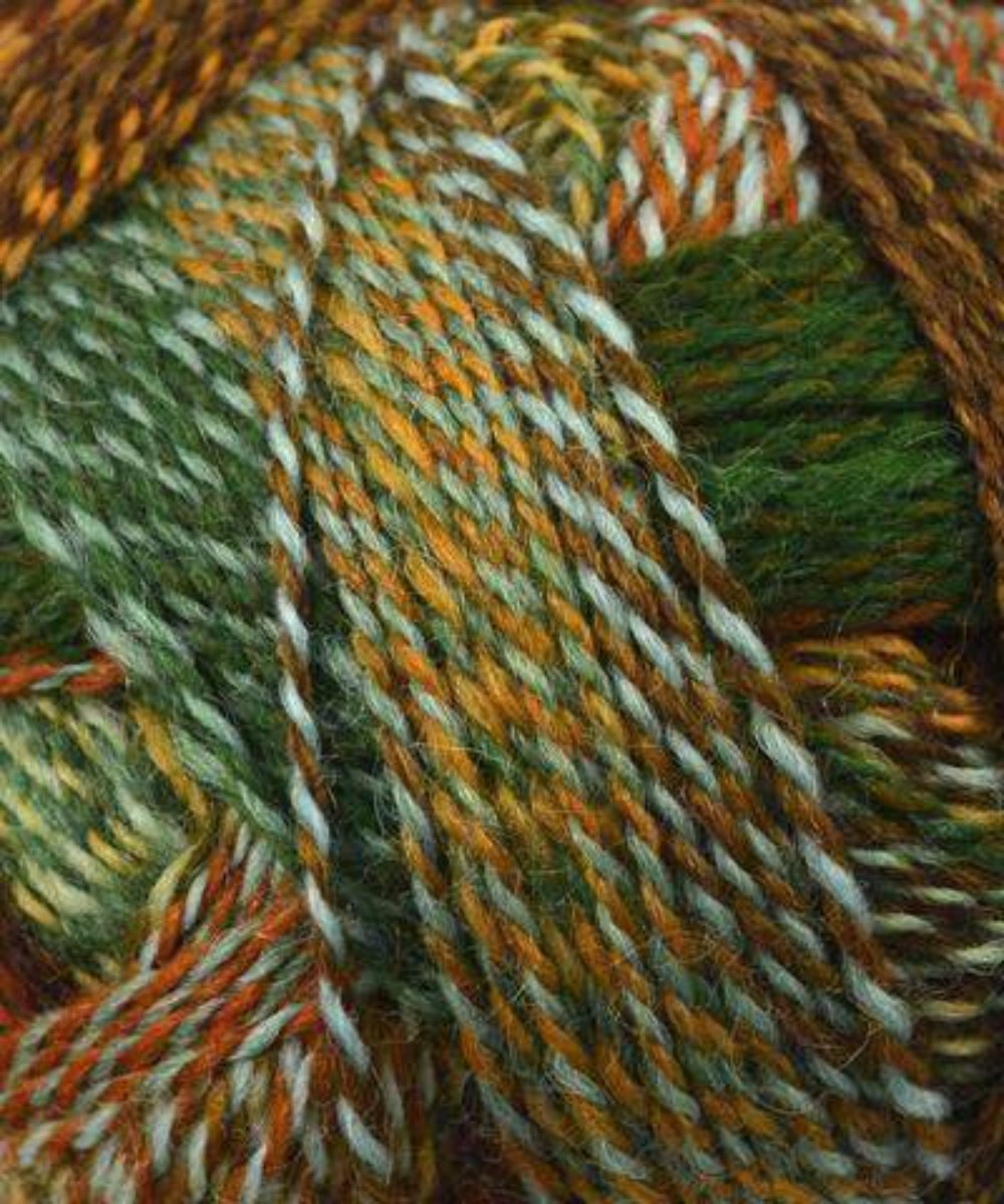 Schoppel-Wolle Zauberball Crazy-Yarn-Schoppel-Wolle-#1660 Earth-Alpaca Direct