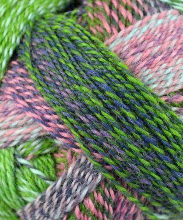 Schoppel-Wolle Zauberball Crazy-Yarn-Schoppel-Wolle-#2170 Spring Flowers-Alpaca Direct